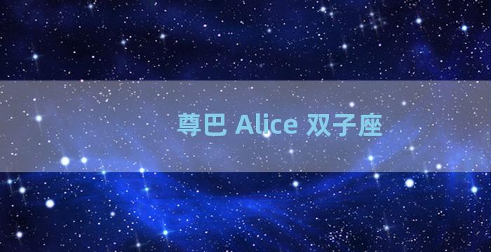 尊巴 Alice 双子座